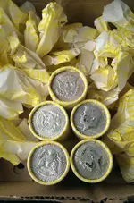 IMAG1076_1.webp