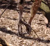 DSCN0489.webp DSCN0489.webp