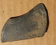 homesite buckle ed.webp