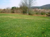 DSCF0006.webp