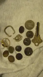 Beautiful Medal Wheats & Other Stuff March 27 2016 005.webp