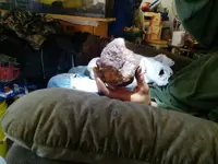 1461605410363.webp