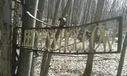 1459132334526.webp