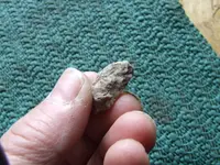 DSCF1130.webp
