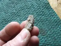 DSCF1133.webp