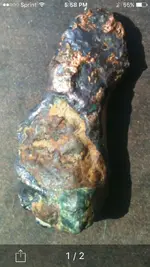 ImageUploadedByTreasureNet.com1459737419.373146.webp
