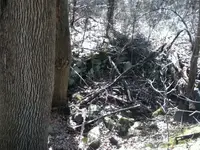 IMG_2250[1].webp