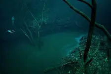 river-underwater.webp