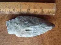 1457308104629.webp