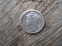 DETECTING FINDS TRAIL 004.webp