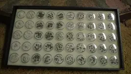 fossil tray.webp fossil tray.webp