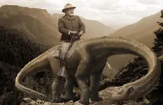 p6dlrpua3f2sfigahxez.webp