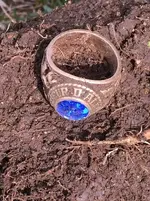 recovered ring.webp