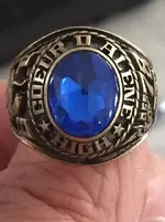 Full fontal ring.webp