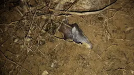 20160229_012013 - Copy.webp