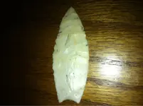 image-2168079277.webp