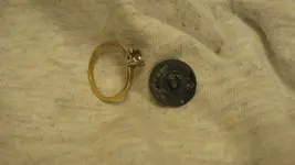 Hybrid Ring & Flat Button April 18 2016 002.webp Hybrid Ring & Flat Button April 18 2016 002.webp