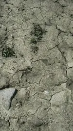 1461034157120.webp