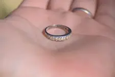 silver_ring_palm.webp
