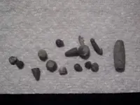 lake finds 002.webp