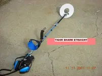 STRAIGHT SM.webp