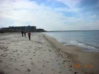 BF11172.webp