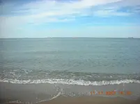 BF11173.webp