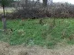 HPIM0174.webp