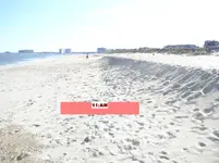 BF11221.webp