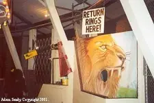brass rings.webp