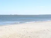BF11223.webp