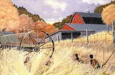 Vans Farm-Changed.webp