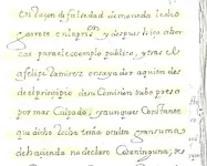 Viceroy from Peru declatation.webp