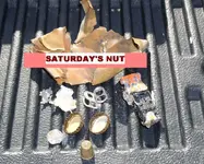 BF1117NUT.webp