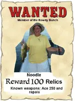 Noodle2.webp
