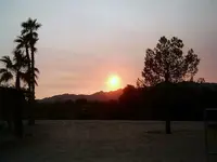 001.webp