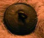 ButtonBack.webp