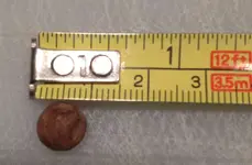 musketball3.webp