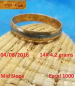 DocBeav 2016 Gold Ring  #6.webp