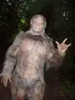 bigfoot.webp bigfoot.webp
