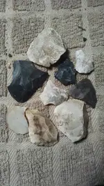 1457916731641.webp