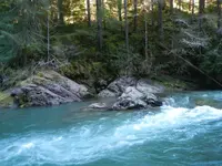 DSCN0895.webp