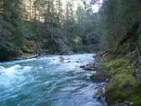 DSCN0904.webp