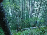 DSCN0946.webp
