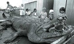 worlds largest crocodile caught.jpg