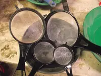 DSCF0368.webp