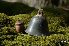12970810_496553677219991_84252989274340337_o.webp