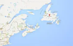 newfoundland-2-504529.webp newfoundland-2-504529.webp