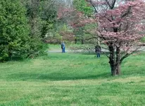 IMG_20160402_110915_809-1.webp
