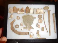 my finds.webp